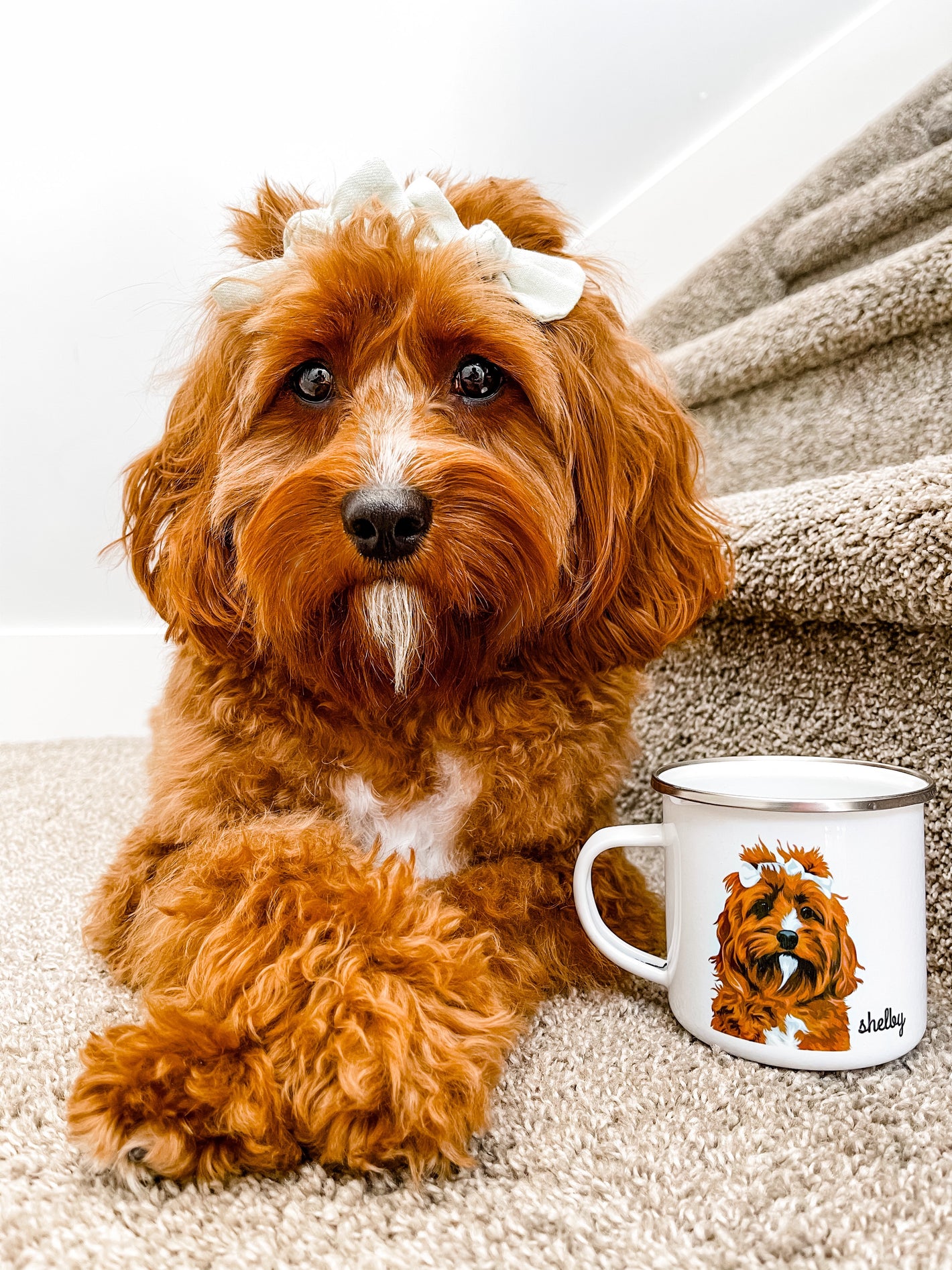 Adorable poodle mix with bows in hair beside custom camp mug