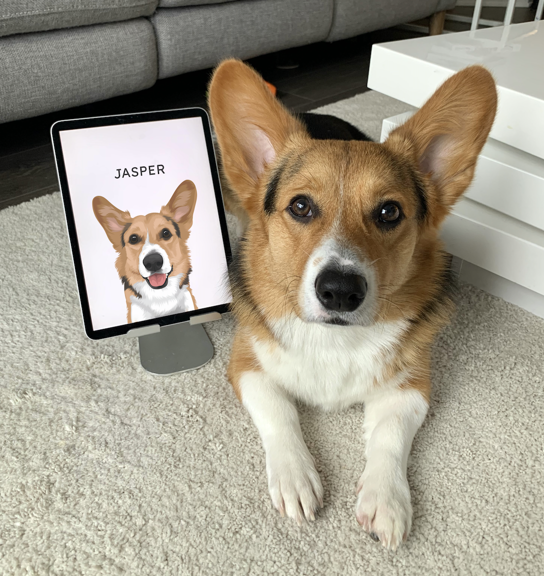 Smiling corgi and custom digital pet portrait wallpaper on ipad