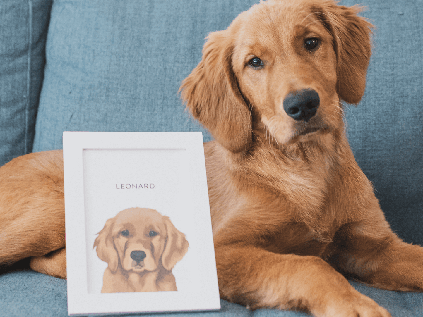 Framed Portrait Add-on
