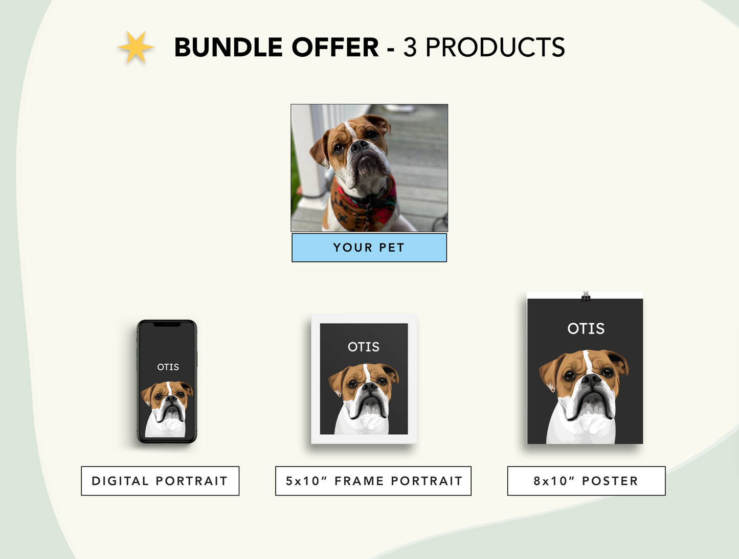 Pet Portrait Bundle Package