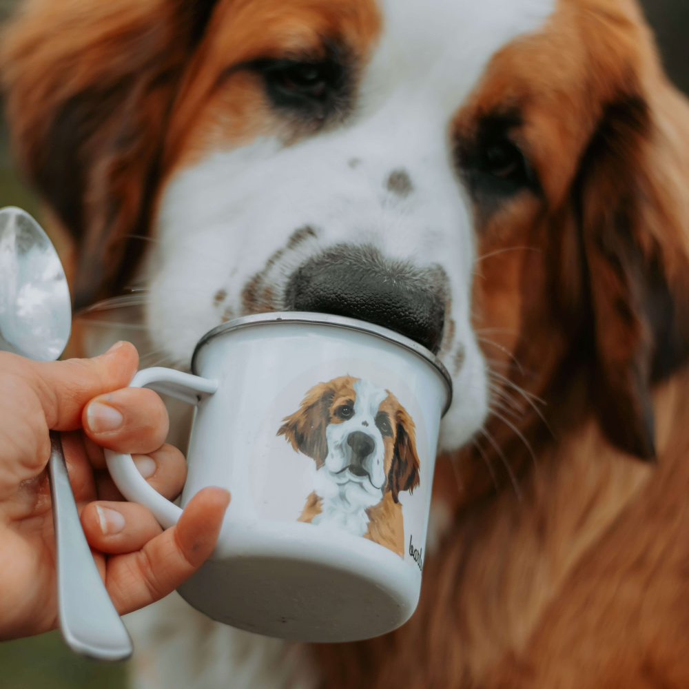 Personalized Pet Portrait Enamel Camp Mug